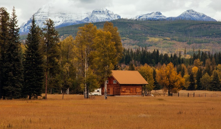 Real Estate — representative asset